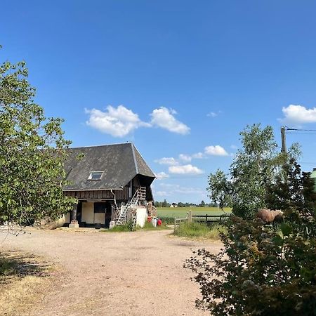 Logis Du Coudray Διαμέρισμα Boissey-le-Chatel Εξωτερικό φωτογραφία